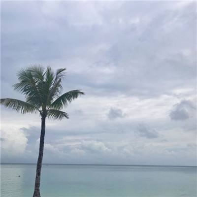 锐捷网络EDN方案正式发布 园区网...